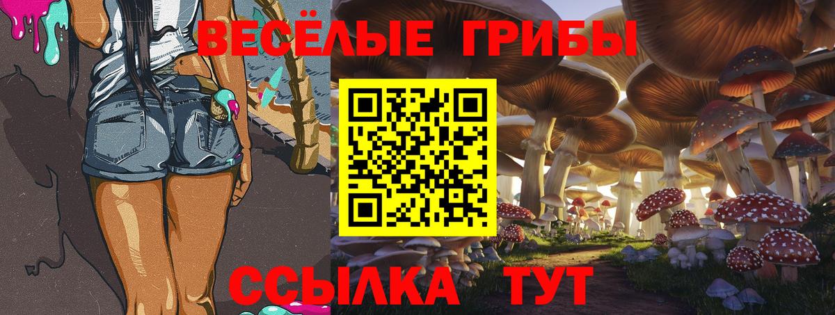 Псилоцибиновые грибы прущие грибы  Вход с VPN  Галлюциногенные грибы Psilocybe  Вышний Волочёк 