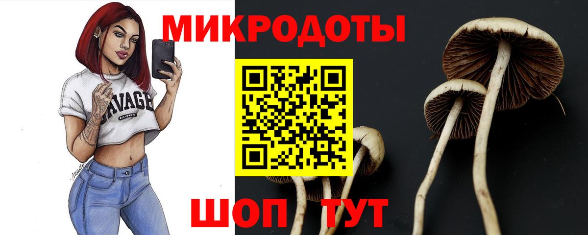 Псилоцибиновые грибы MAGIC MUSHROOMS Вышний Волочёк